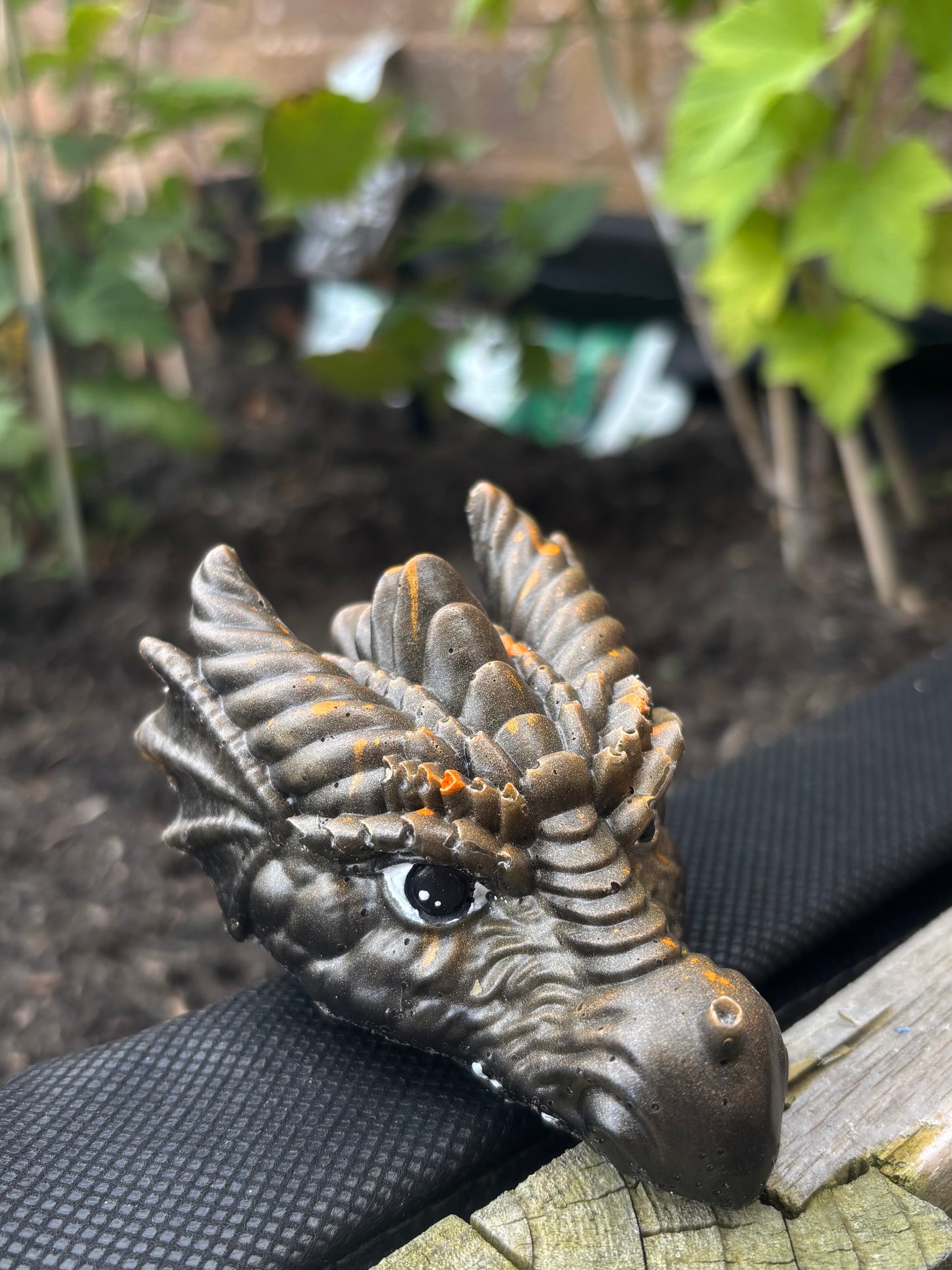 Dragon Heads