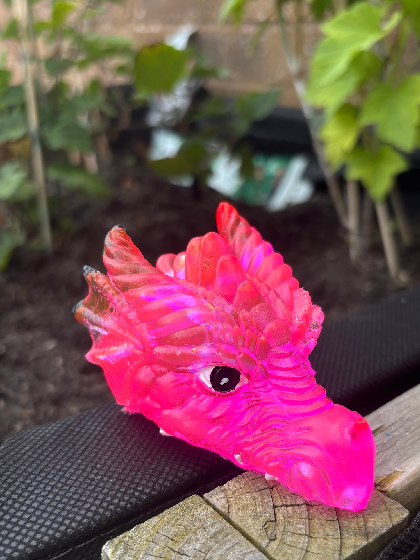 Dragon Heads