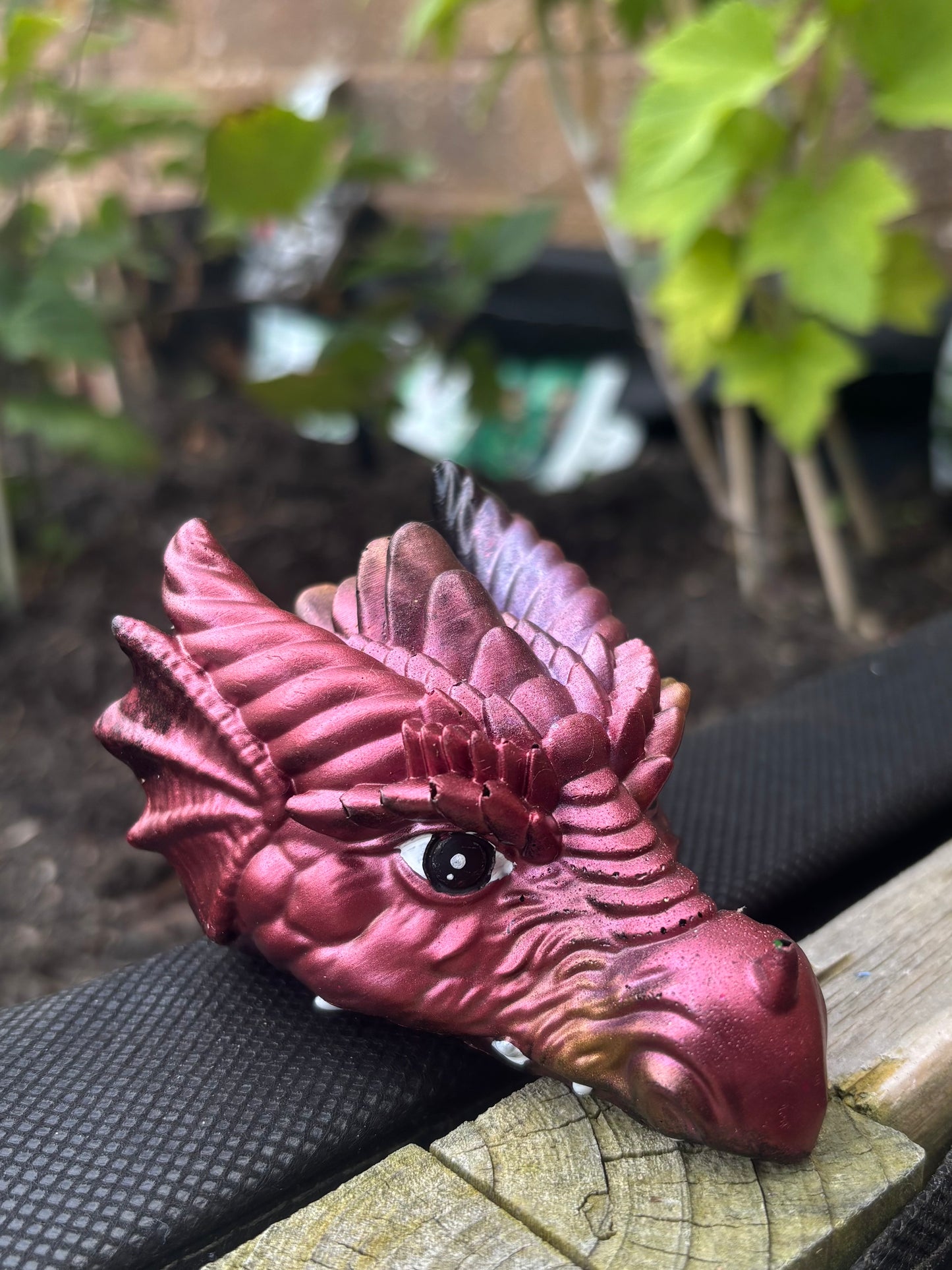 Dragon Heads