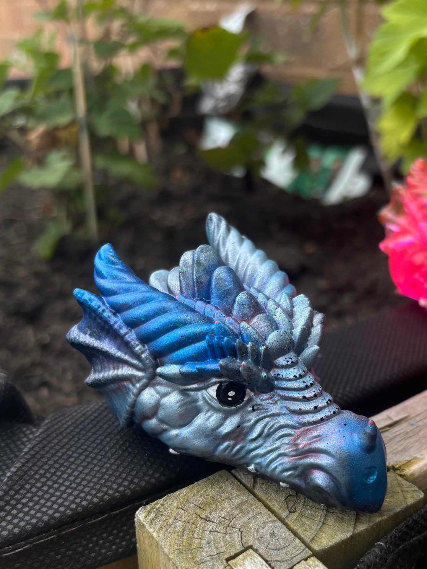 Dragon Heads