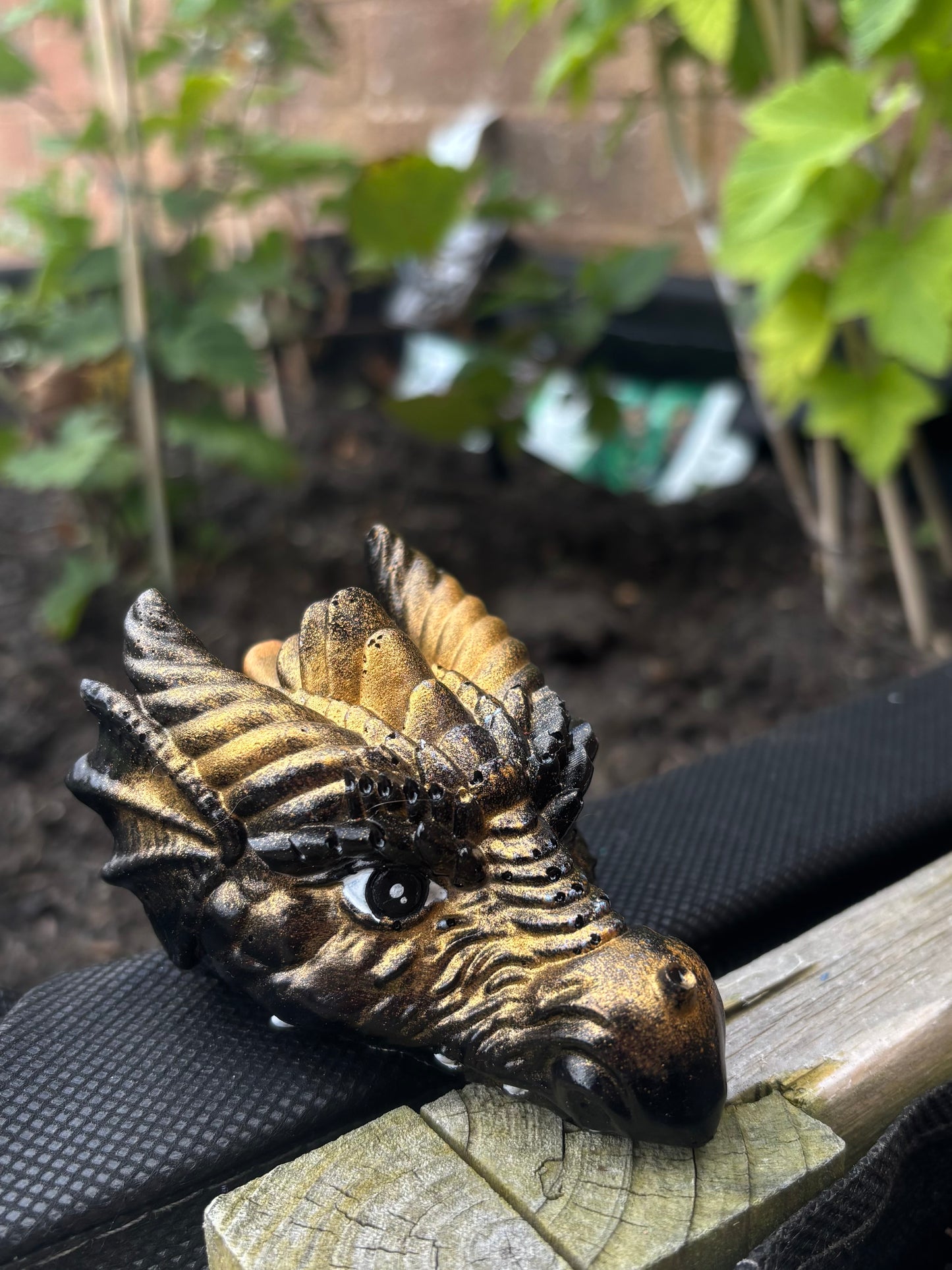 Dragon Heads