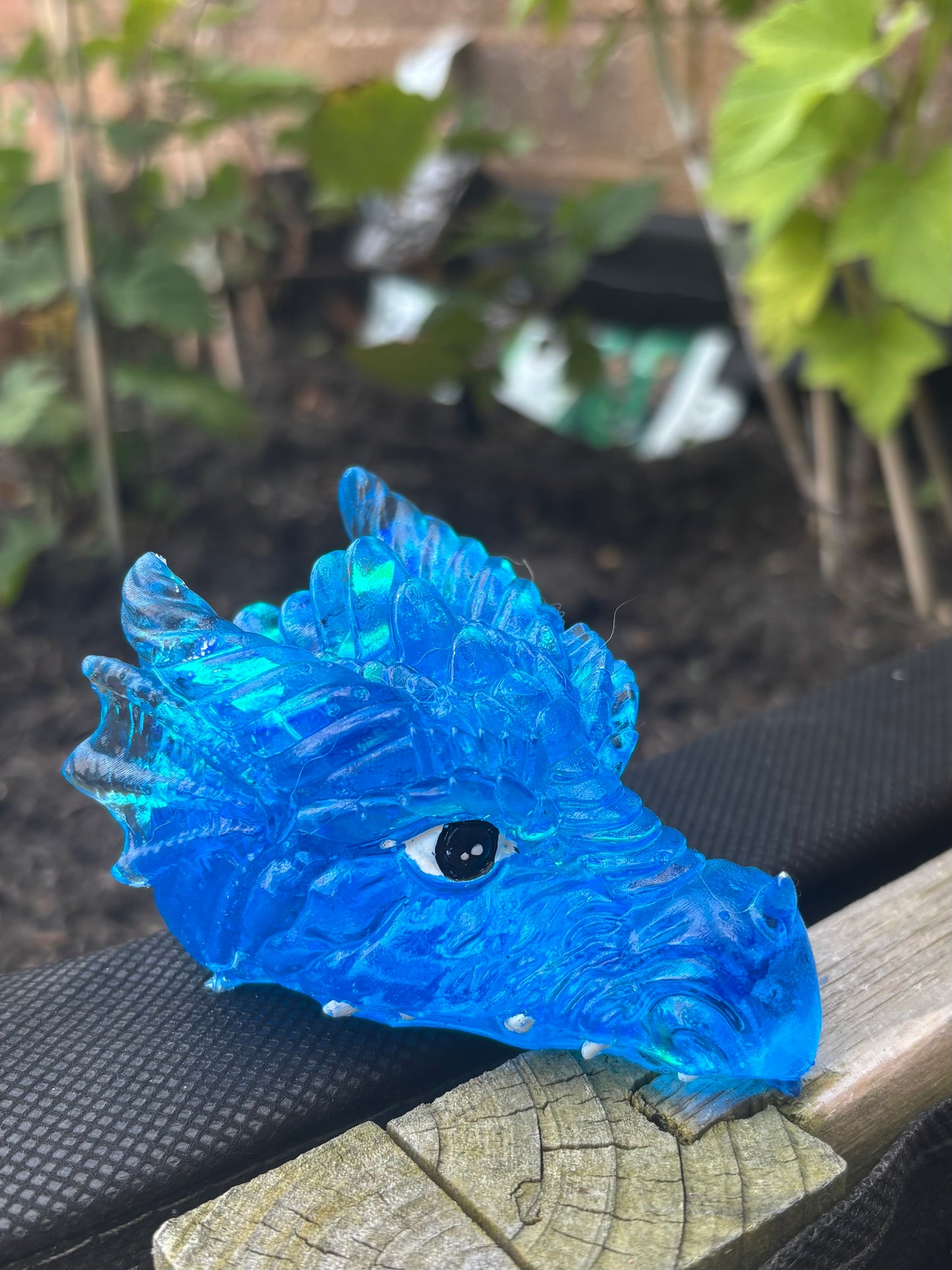 Dragon Heads