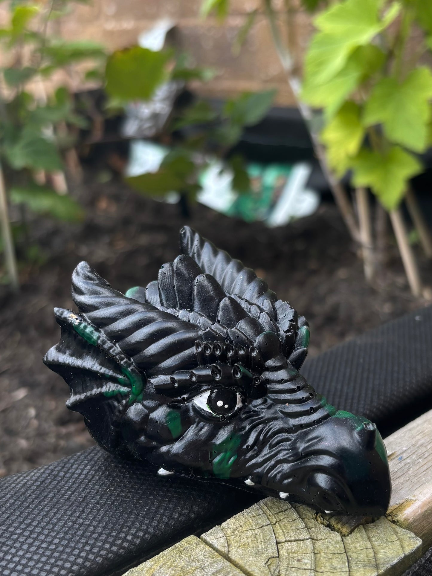 Dragon Heads