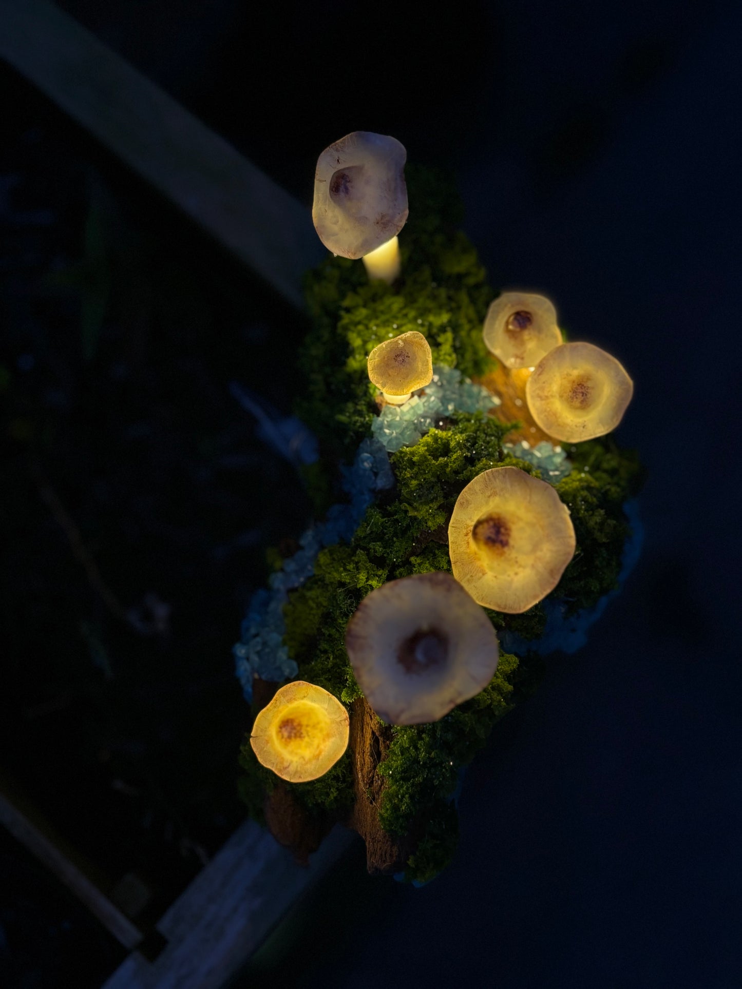 Fairy Light Mushroom Decor