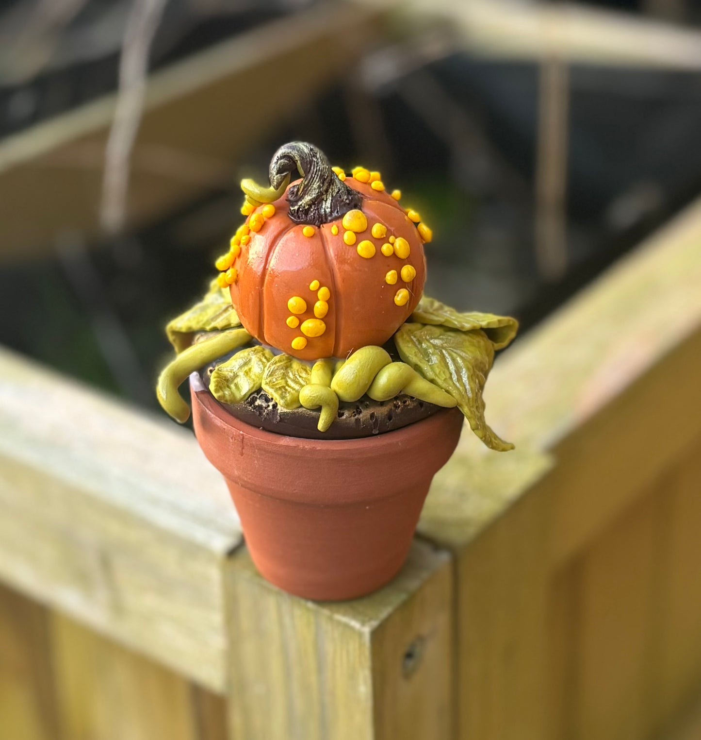 Pumpkin Pot (handmade)