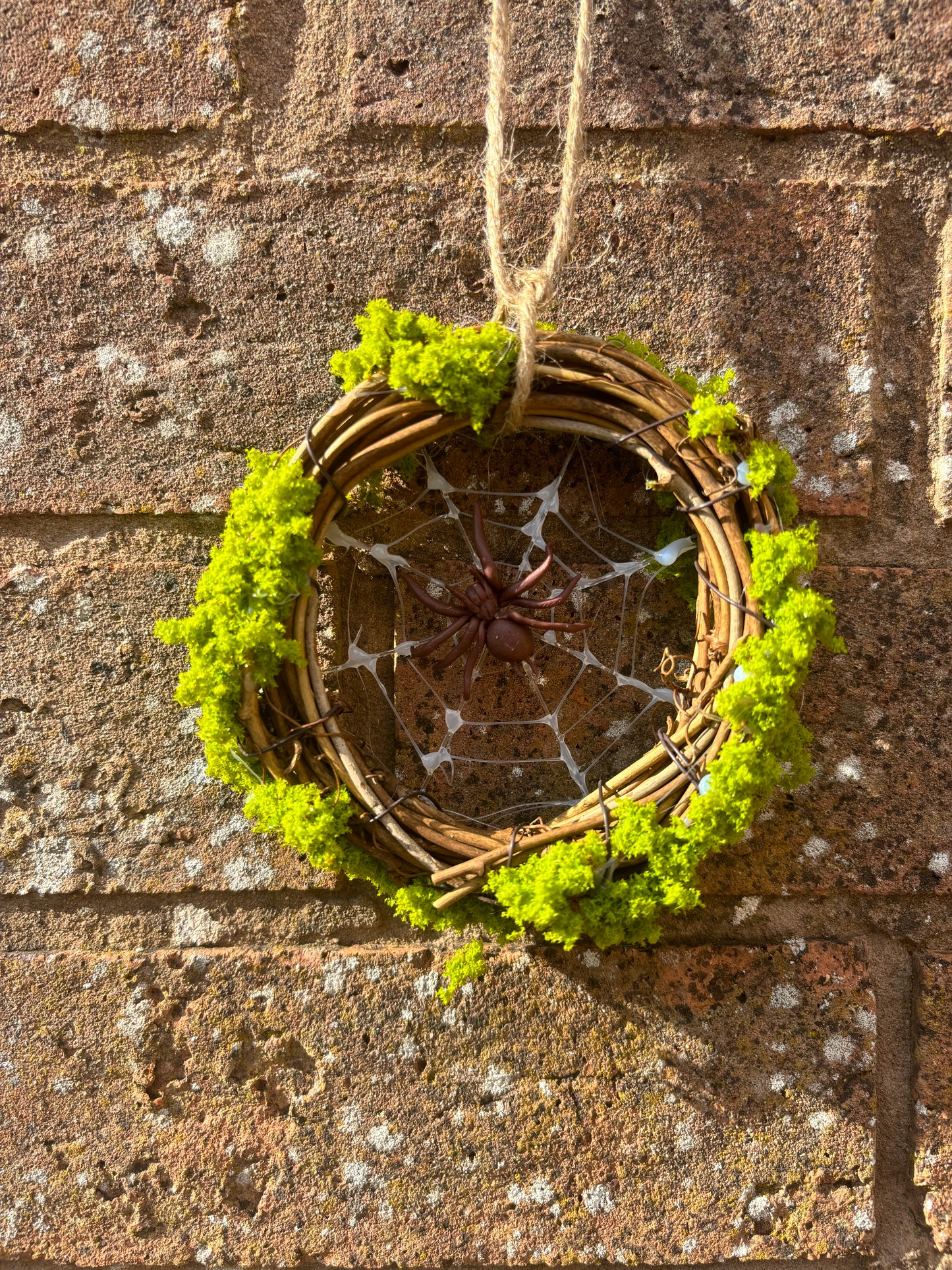 Wreath (spider web)