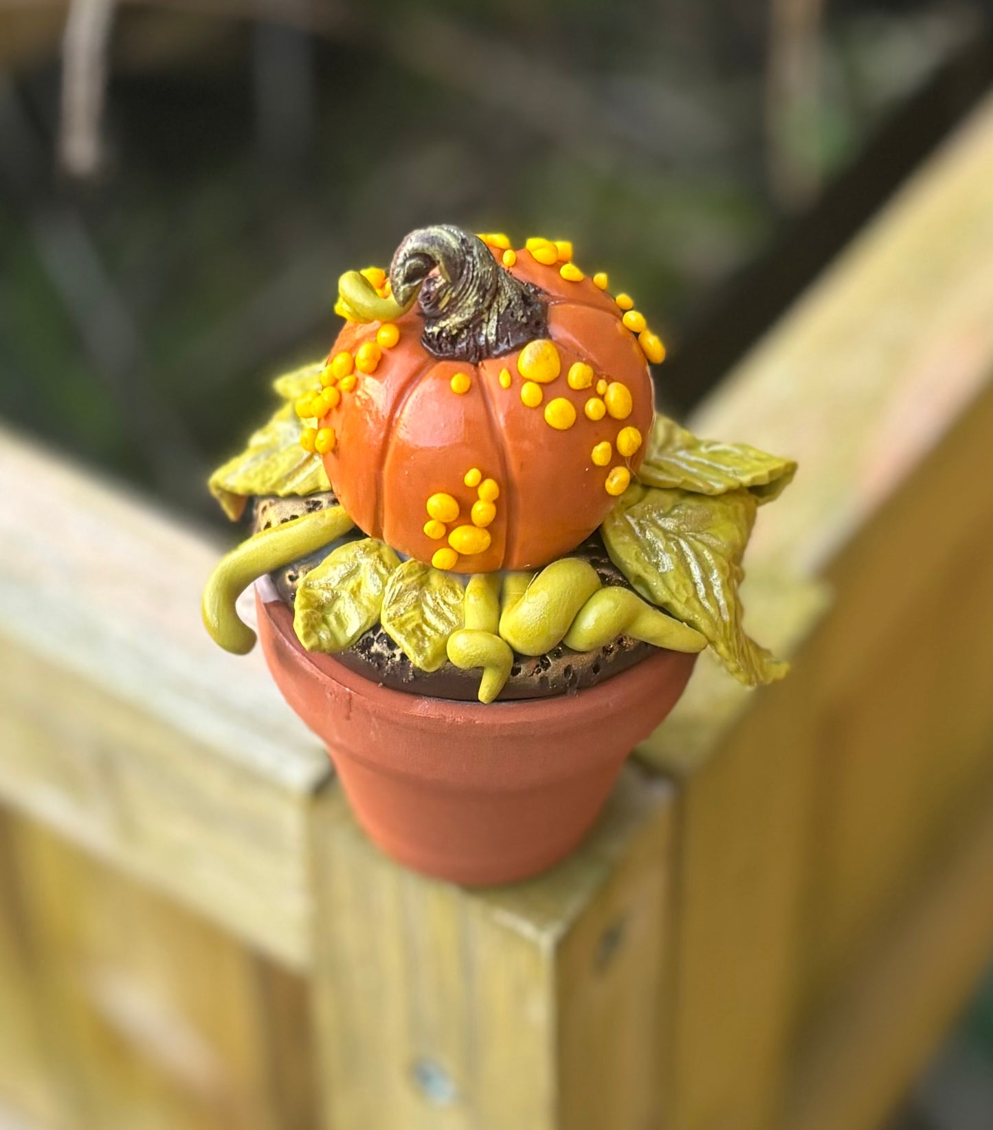 Pumpkin Pot (handmade)