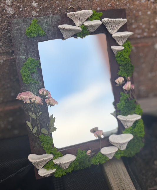 Mirror