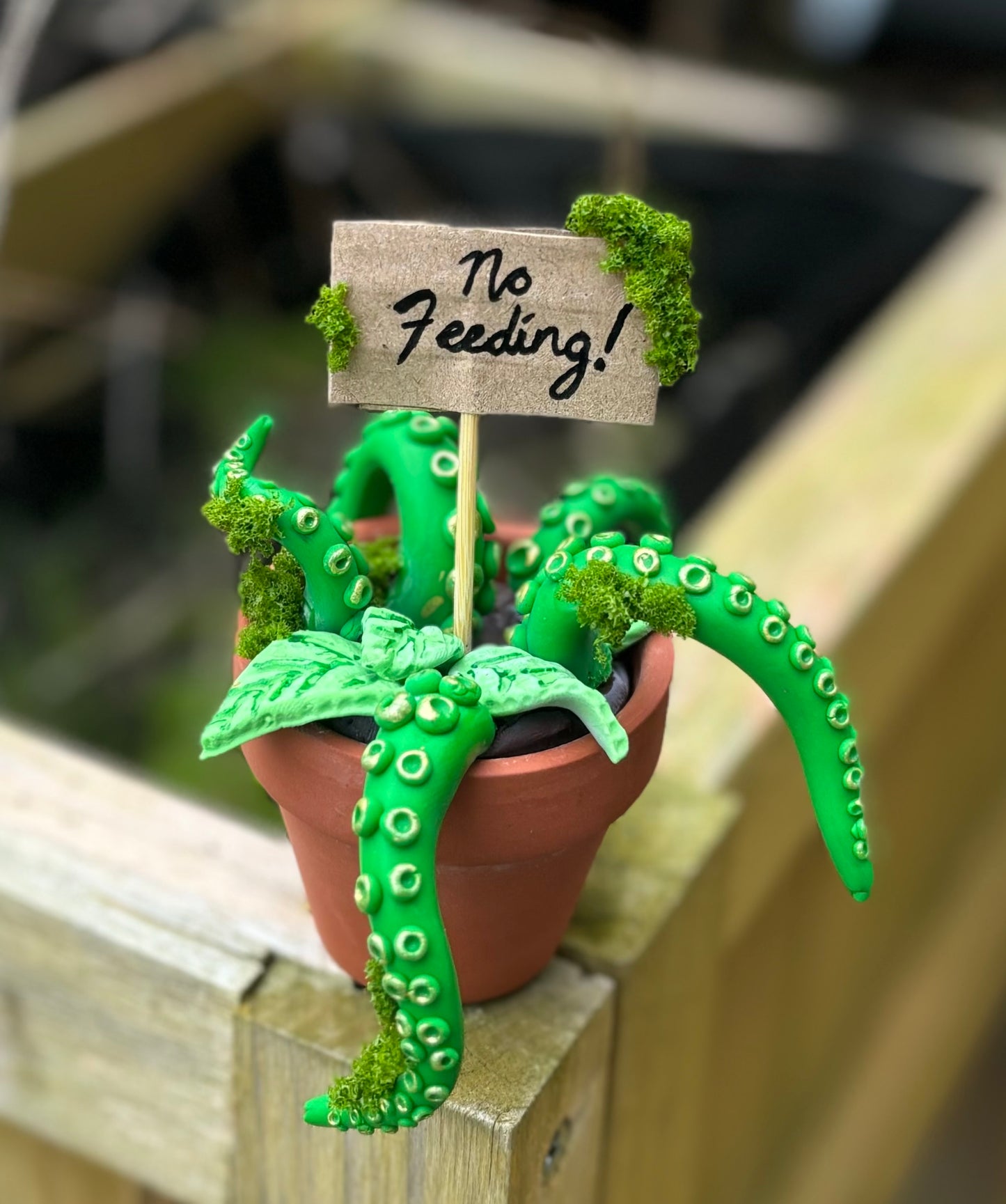 Tentacle Plant