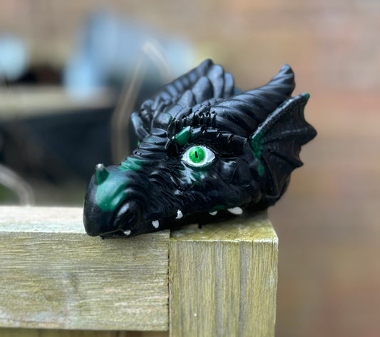 Dragon Head