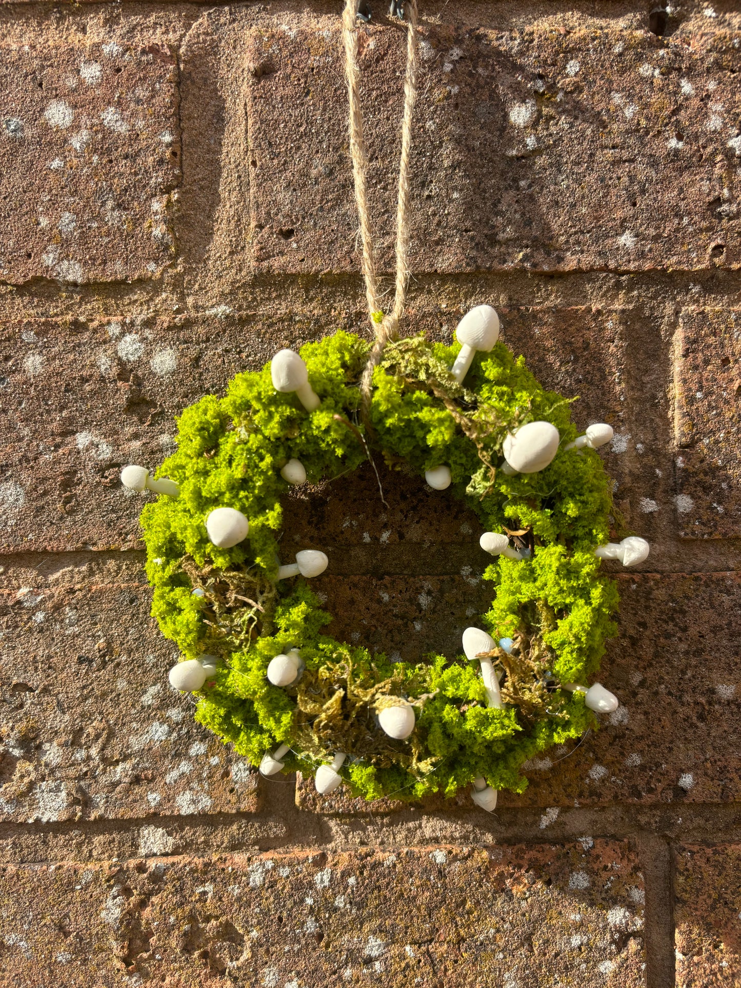 Wreath (white mushrooms)