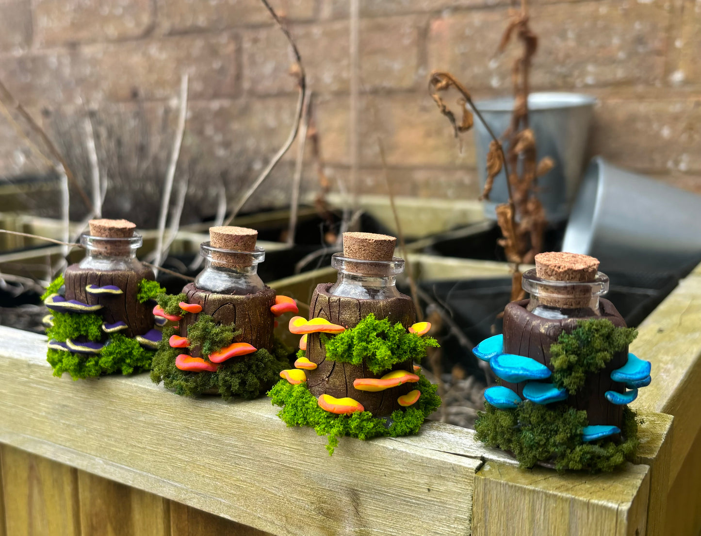 Mushroom Jars