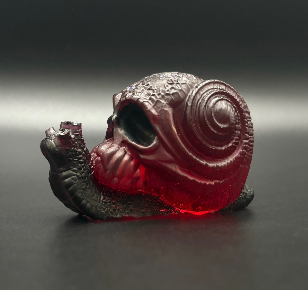 Resin Snail Skull