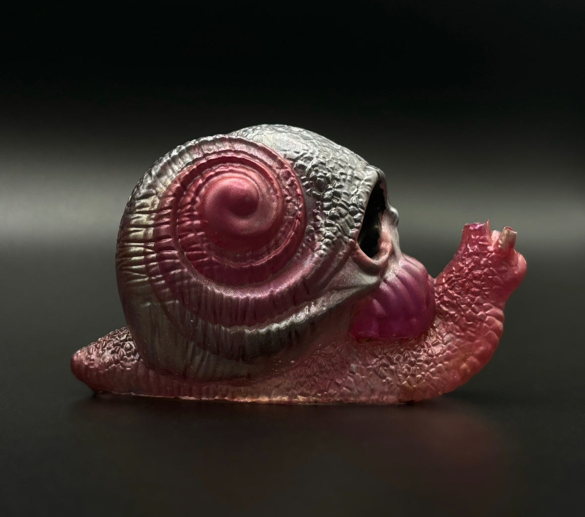 Resin Snail Skull