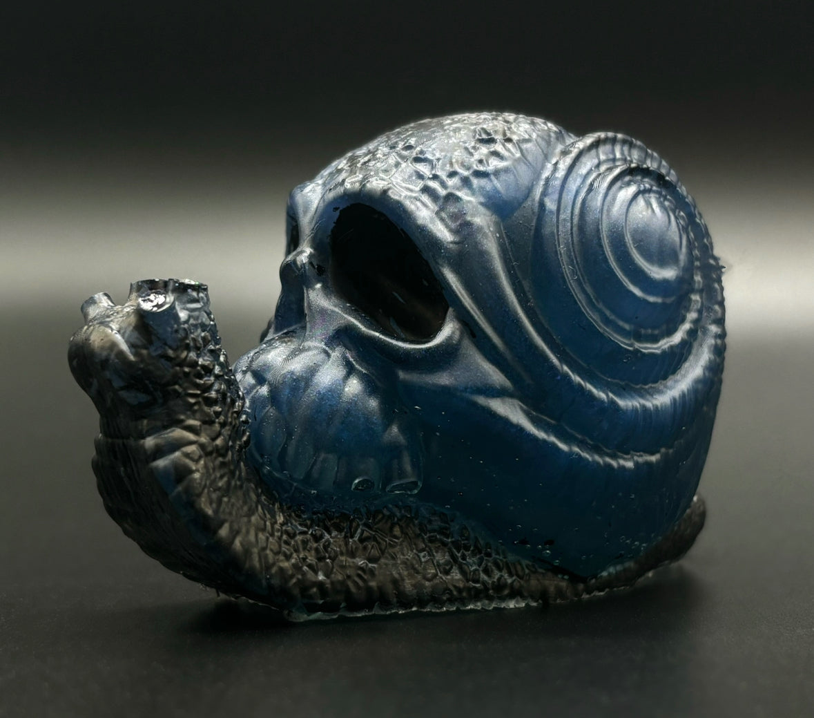 Resin Snail Skull