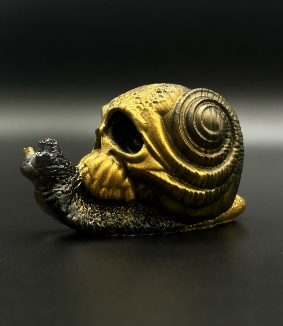 Resin Snail Skull