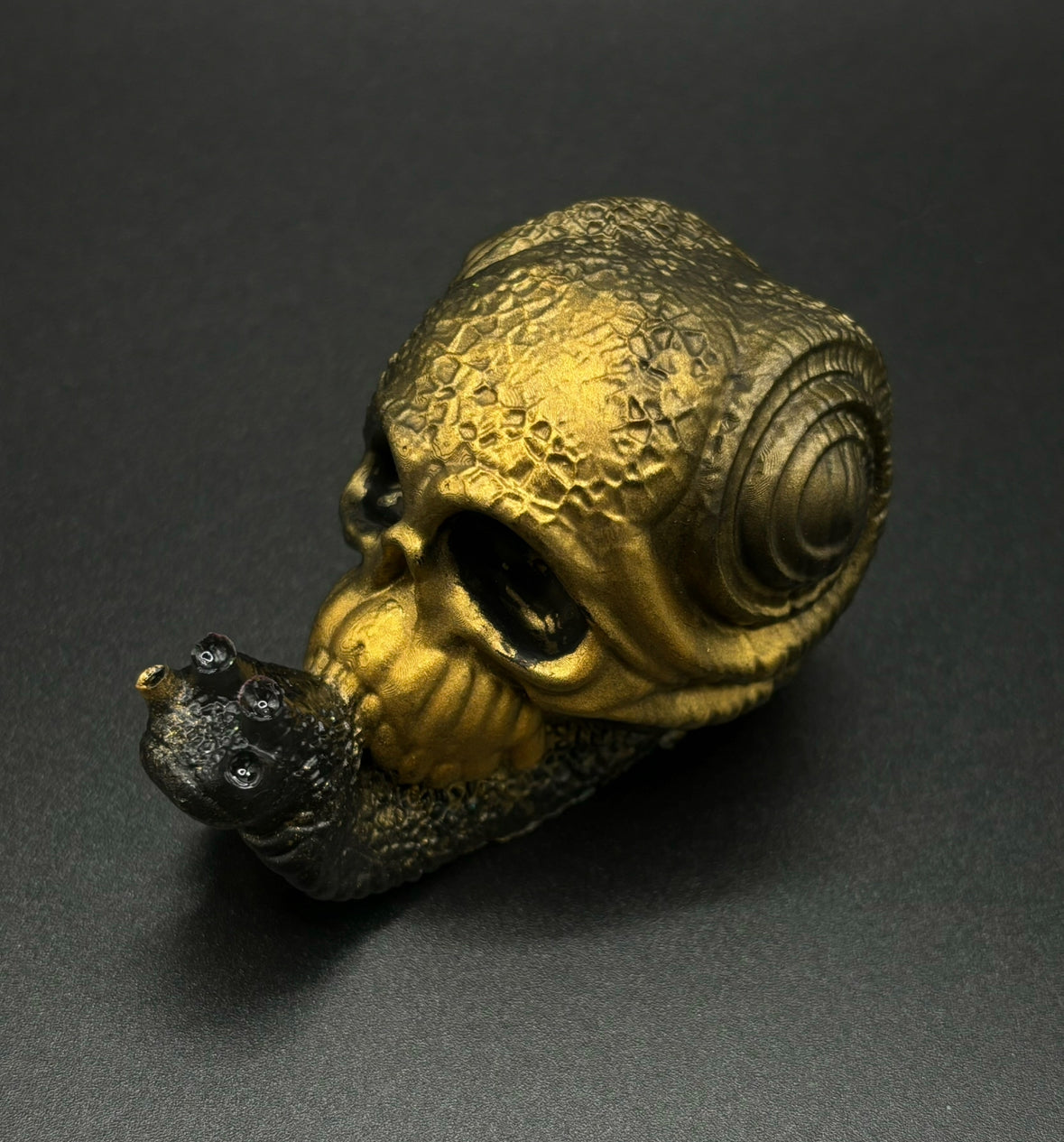 Resin Snail Skull