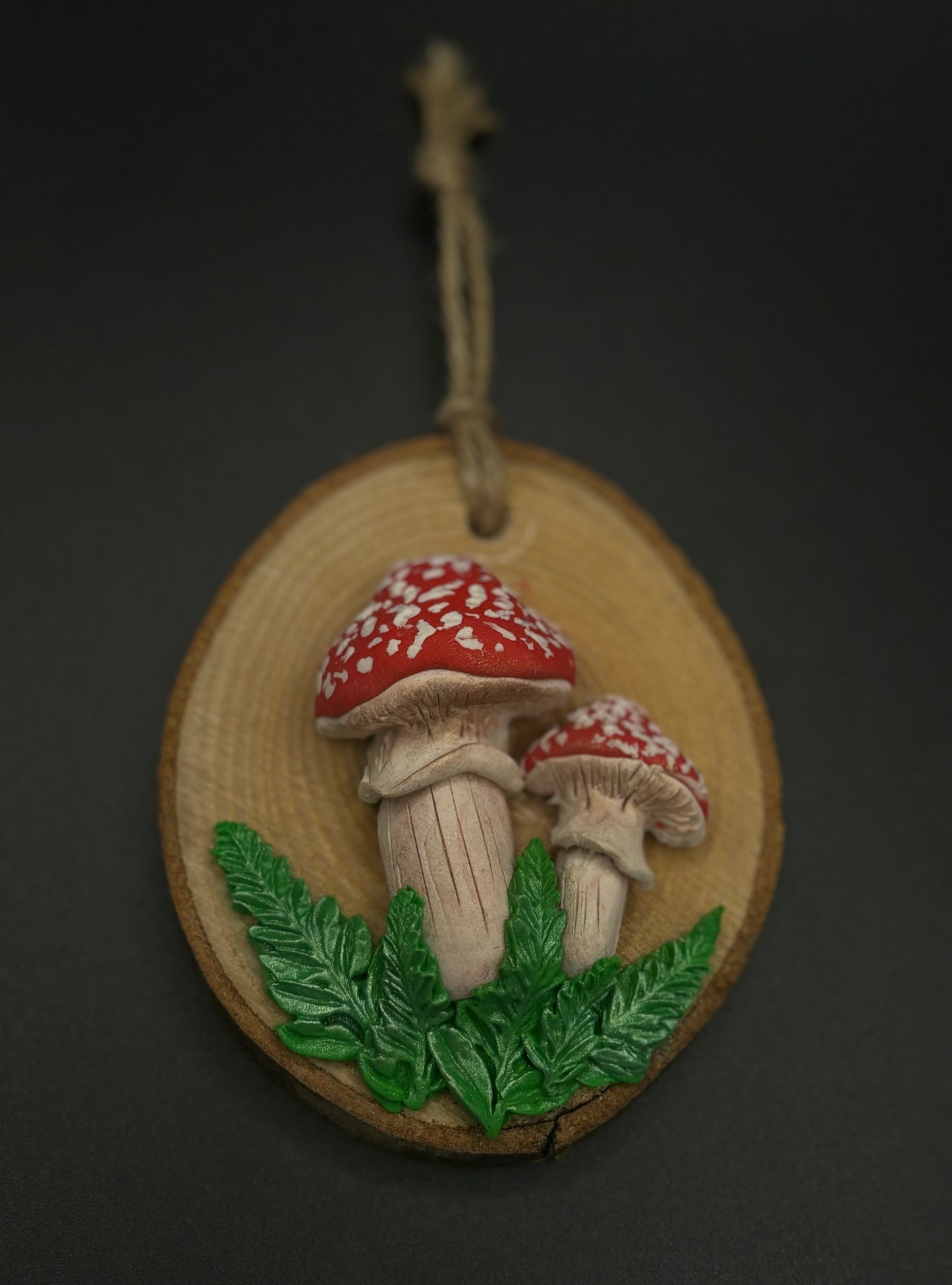 Hanging Clay Wood Slices