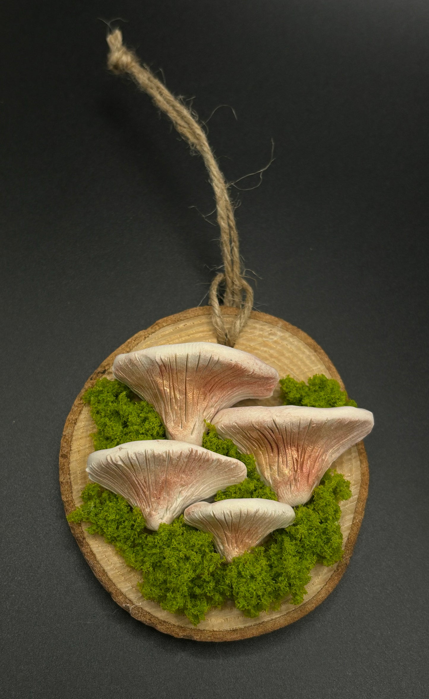 Hanging Clay Wood Slices