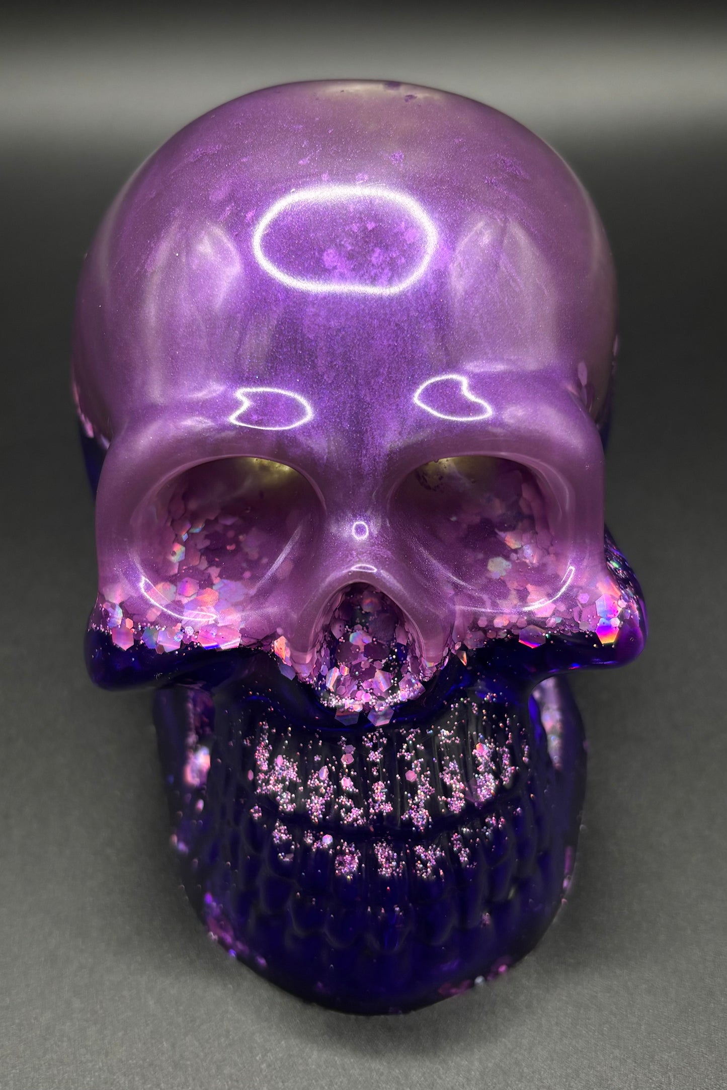 Resin Skull Shaker