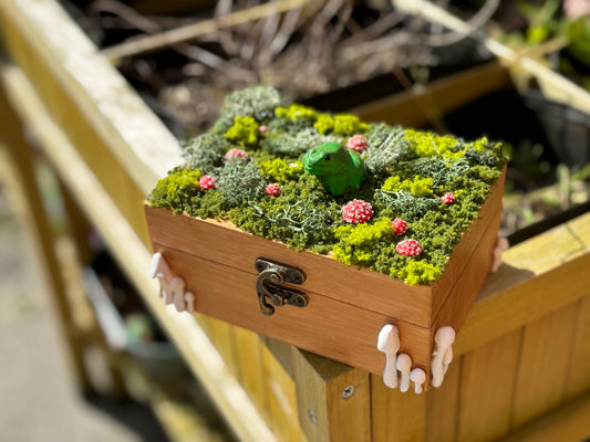 Frog Jewellery Box