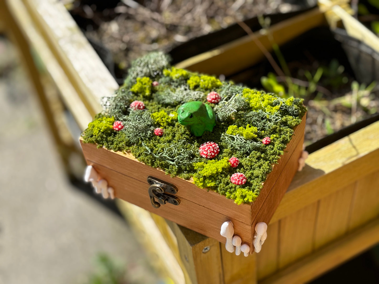 Frog Jewellery Box